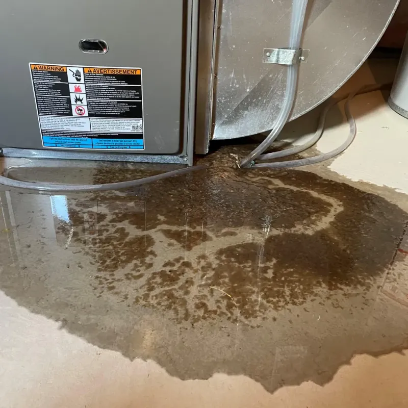 Appliance Leak Cleanup in Lathrop, CA